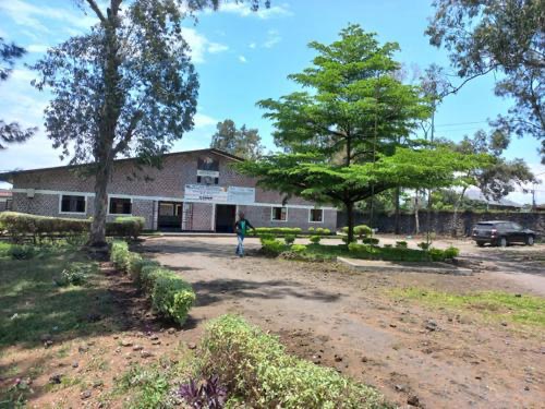Campagne de consultations gratuites à Goma : Une réponse sanitaire aux cicatrices de la Guerre