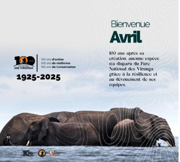 Virunga : Cent ans d’émerveillement menacés par l’insécurité et l’abandon étatique