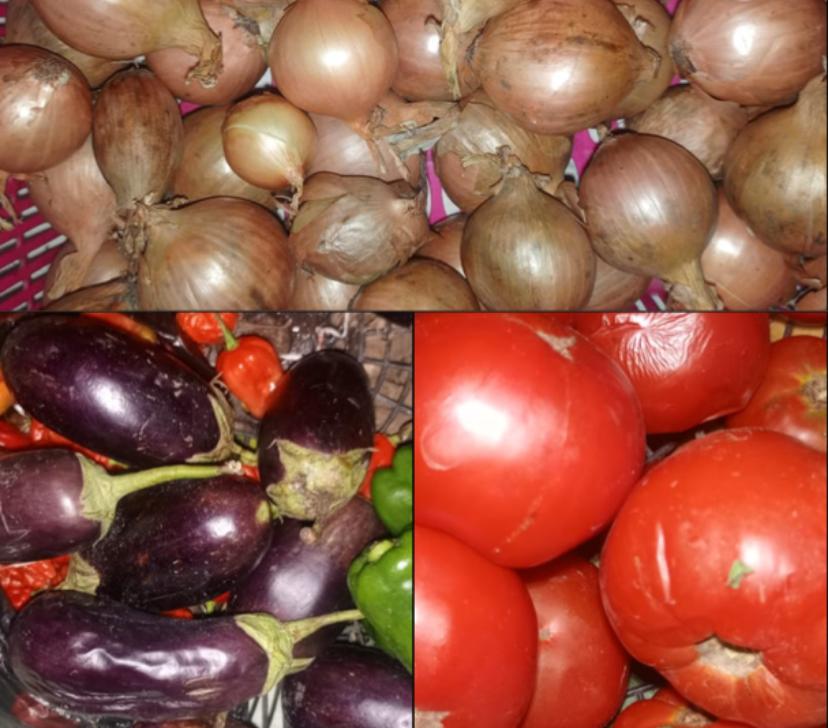Kinshasa : Réduction de 5 % du prix des tomates sur les marchés