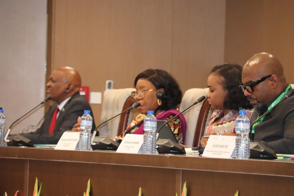 Paix dans les Grands Lacs : La RDC plaide pour une cohérence renforcée des initiatives de médiation à Lomé
