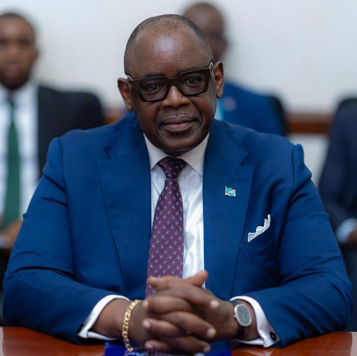 RDC : Louis Watum Kabamba auditionné au Sénat sur la gestion environnementale et la filière cupro-cobaltifère artisanale