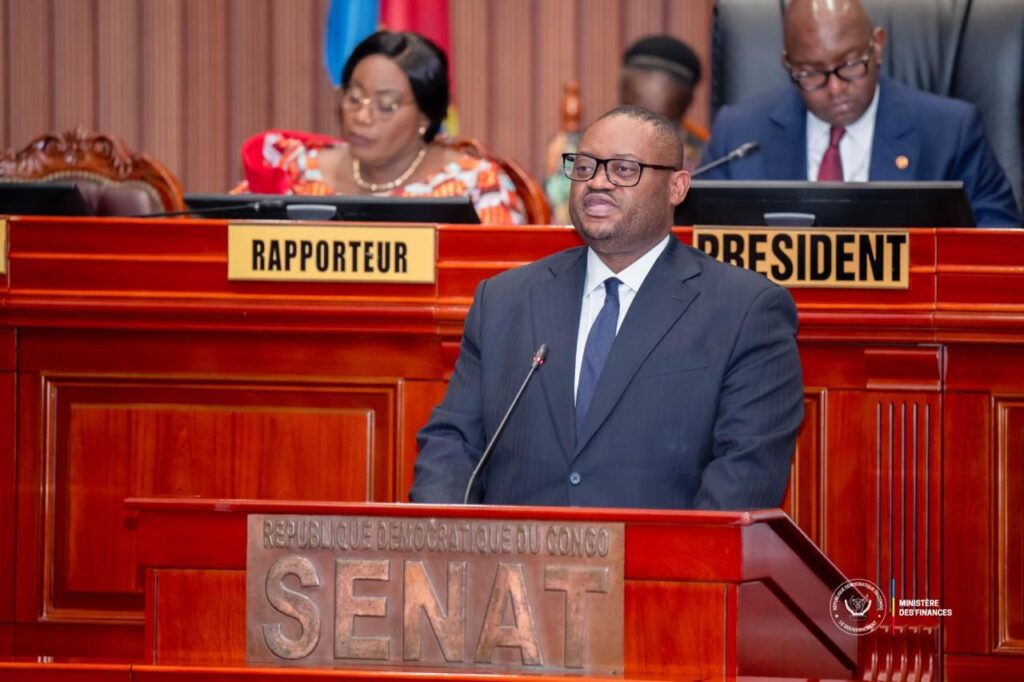 Sénat : Doudou Fwamba Likunde Li-Botayi détaille la stratégie du Gouvernement sur les provinces et les biens zaïrianisés
