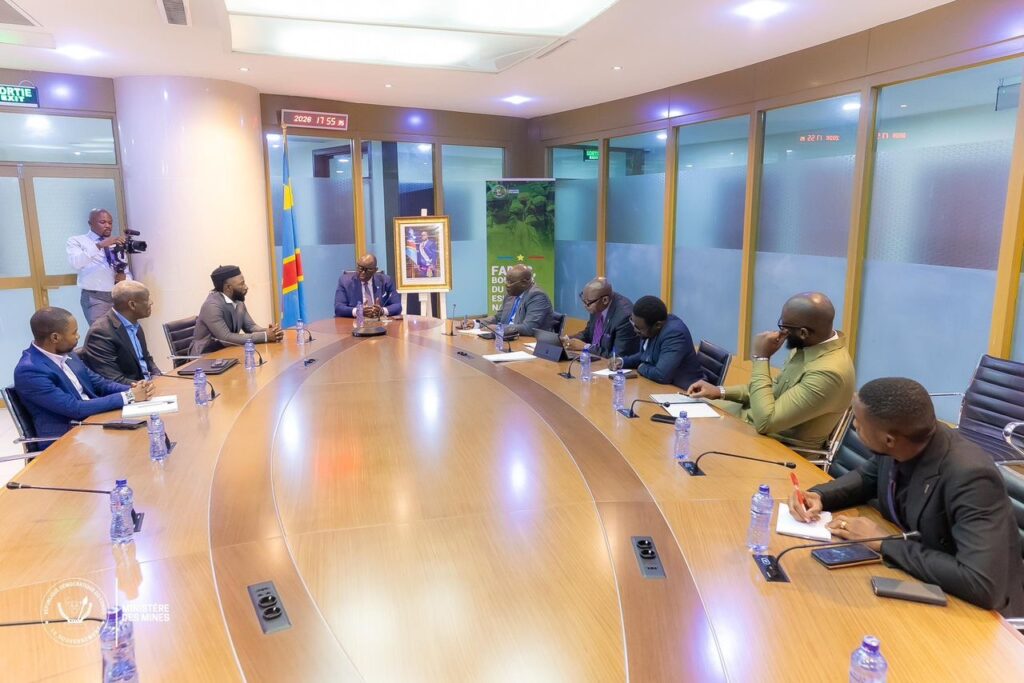 RDC : une technologie énergétique locale au cœur des échanges entre Louis Watum Kabamba et la société ONYO-BT