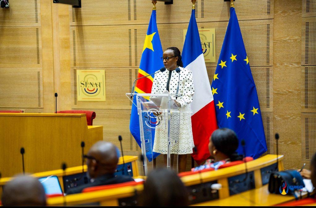 Viols de guerre en RDC : au Sénat français, Afia Mama appelle à « amplifier les voix des survivantes »