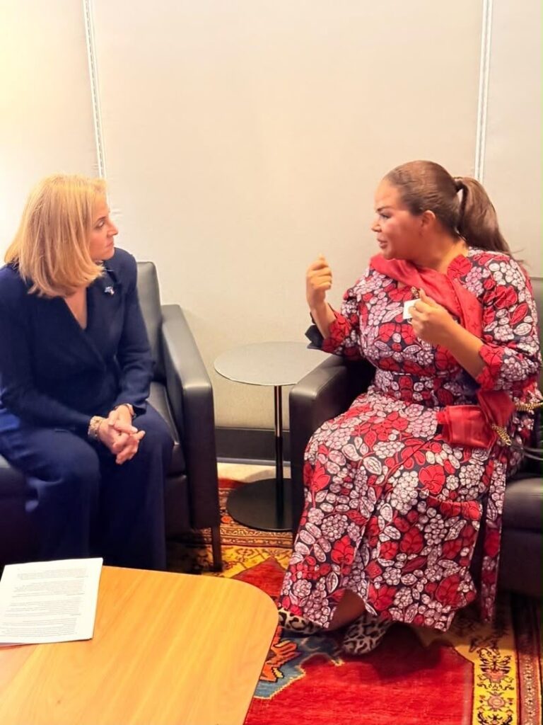 New York : Kinshasa et Vienne renforcent leur concertation avant le Conseil de sécurité de 2027